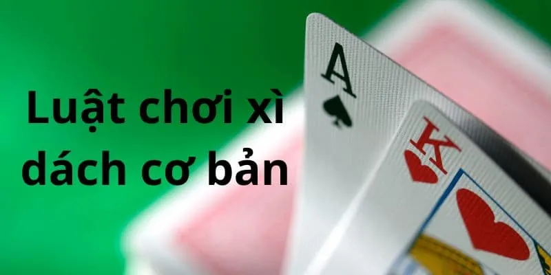 Người chơi cần nắm rõ cách chơi xì dách được chia sẻ trên để đặt cược hiệu quả