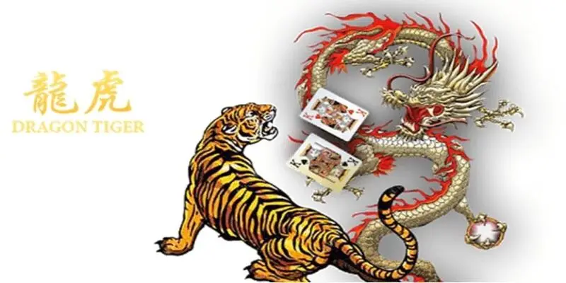 Các lưu ý cần biết khi đặt cược Dragon Tiger U888