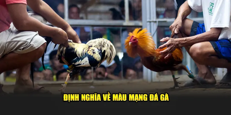 Định nghĩa về màu mạng đá gà